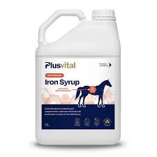 Plusvital IRON SYRUP - Železný sirup 5l